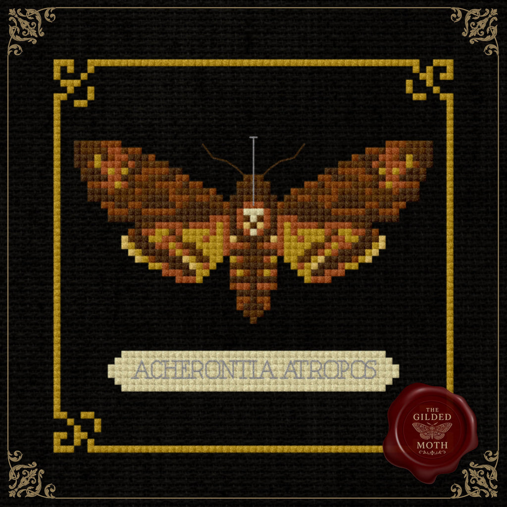 Death’s-Head Moth Cross Stitch Pattern • Acherontia Atropos PDF • Gothic Natural History Embroidery • Dark Academia Insect Art on Black Aida