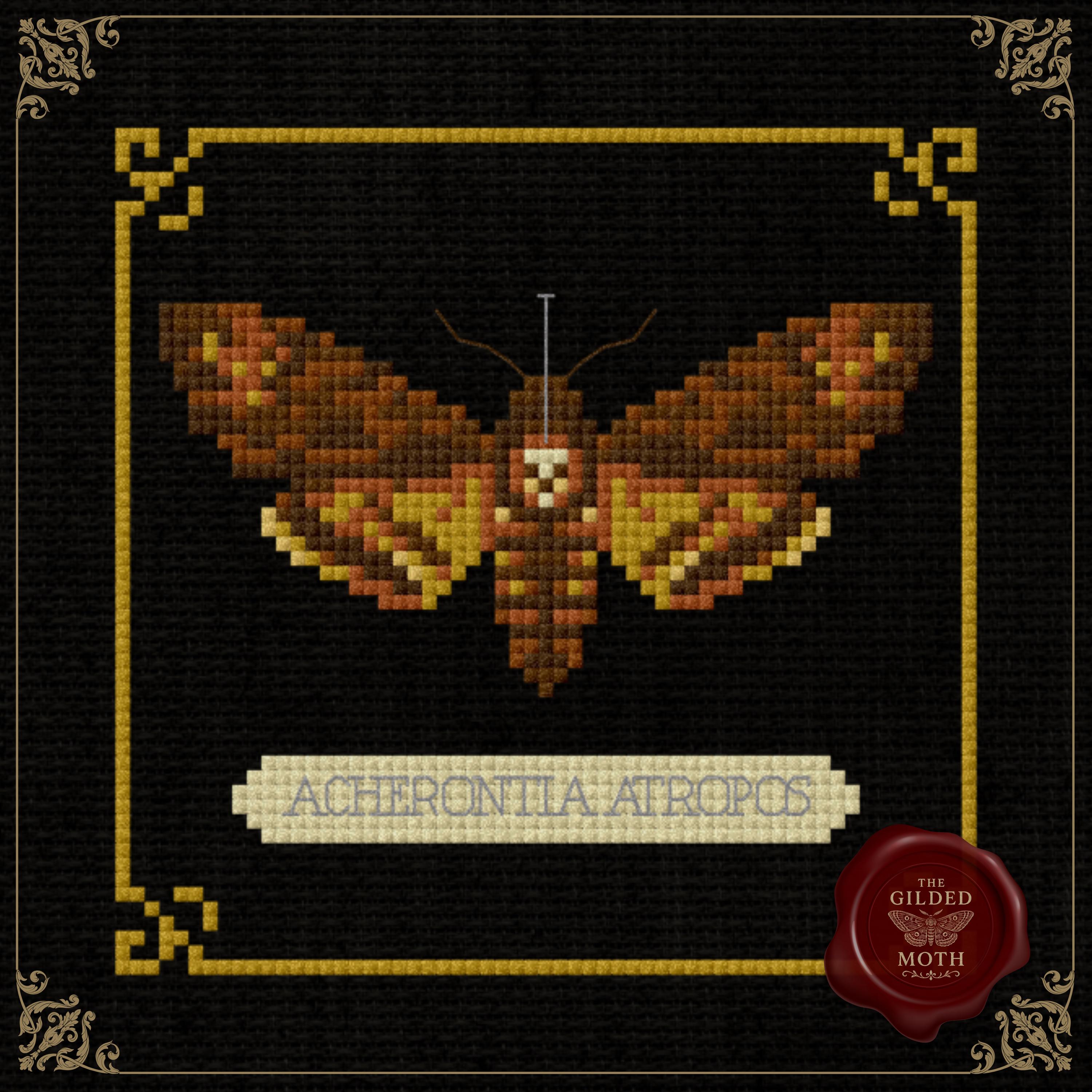 Death’s-Head Moth Cross Stitch Pattern • Acherontia Atropos PDF • Gothic Natural History Embroidery • Dark Academia Insect Art on Black Aida