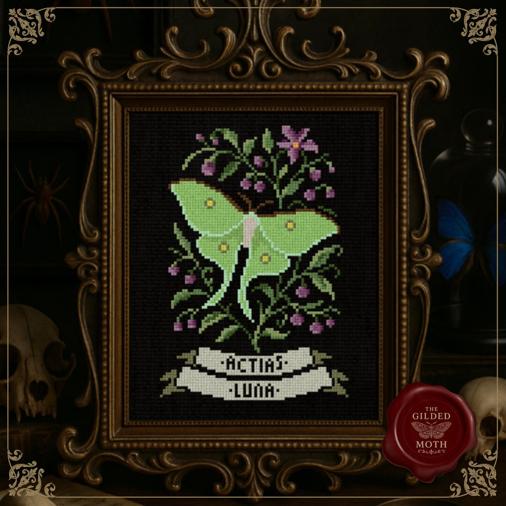 Luna Moth Cross Stitch Pattern • Gothic Botanical Moth PDF • Actias Luna Embroidery • Dark Academia Nature Study • Black Aida Decor