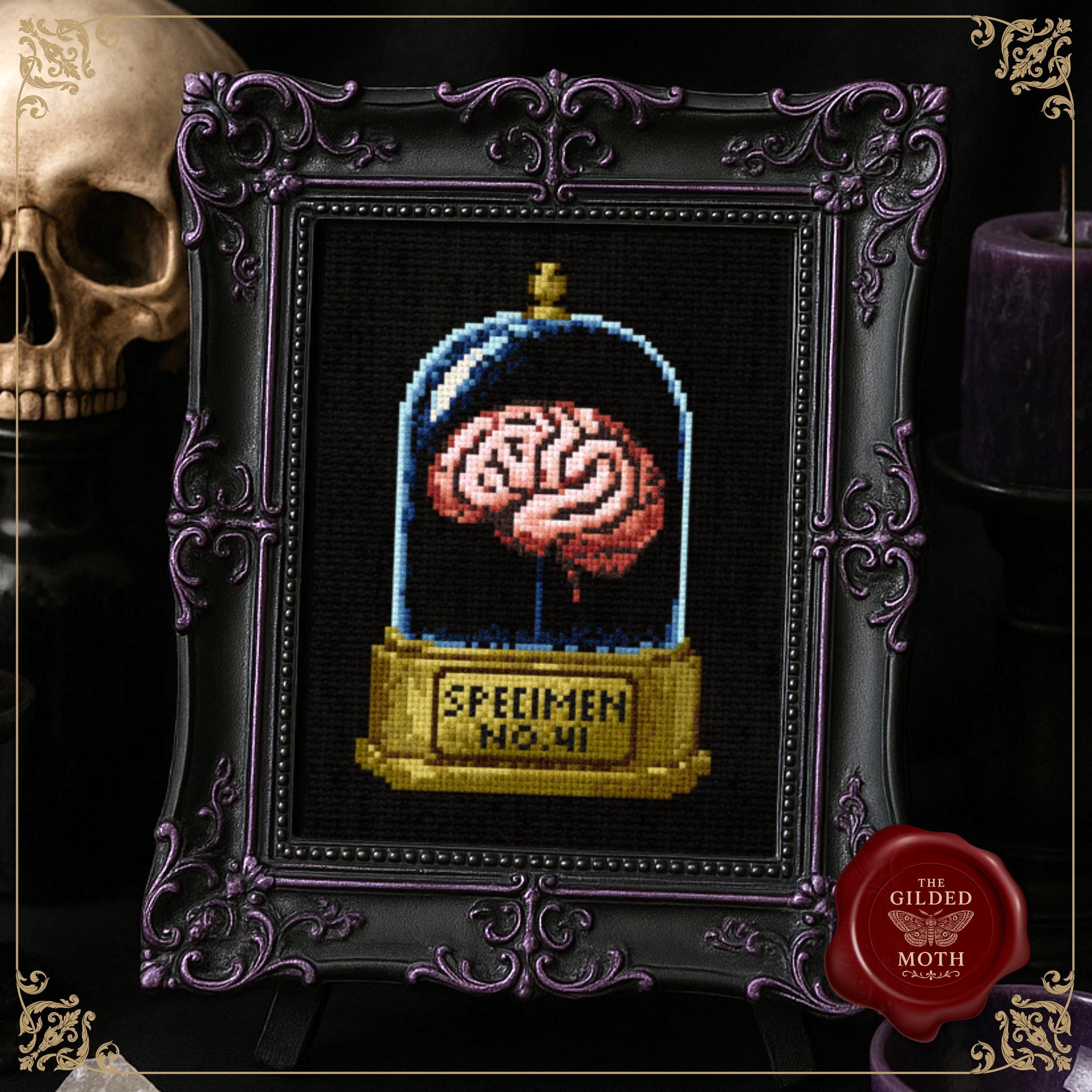 Gothic counted Cross Stitch Pattern PDF | Specimen Jar Brain Design | Dark Cottagecore Apothecary Embroidery | scientific Halloween decor